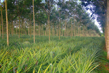 Similar image 10512835