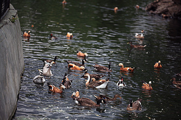 Similar image 10512837