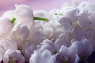 Similar image 10512838