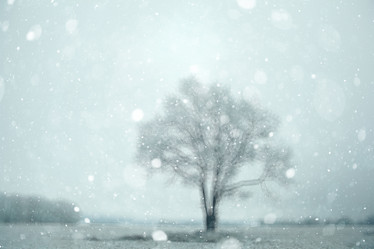 Similar image 10512851