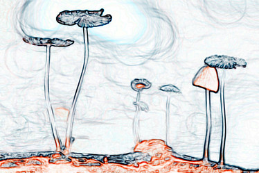 Similar image 10512872