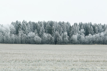 Similar image 10512874