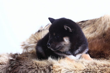 Similar image 10512877