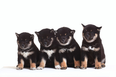 Similar image 10512880