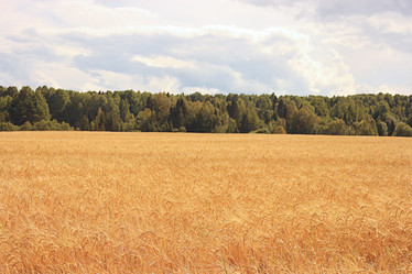 Similar image 10512881