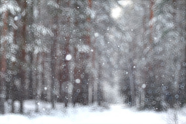 Similar image 10512884