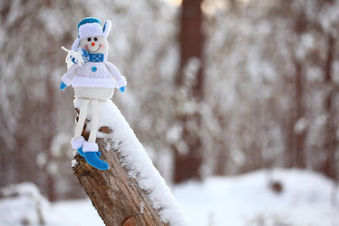 Similar image 10512885