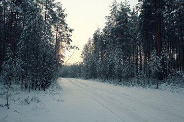 Similar image 10512886