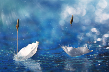 Similar image 10512913