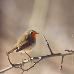 Similar image 10512915