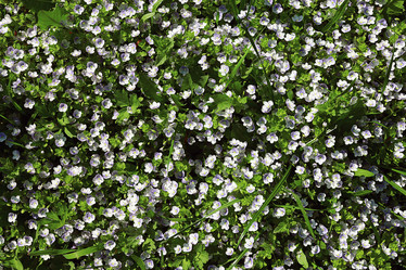 Similar image 10512924