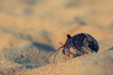 Similar image 10513160