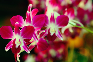 Similar image 10513164