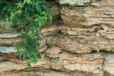 Similar image 10513176