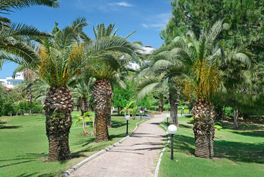 Similar image 10513390