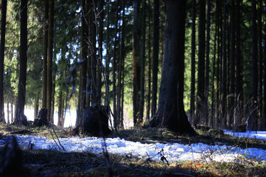 Similar image 10513648