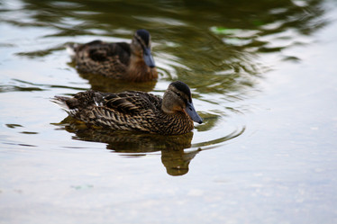 Similar image 10513654