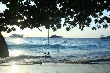 Similar image 10513830