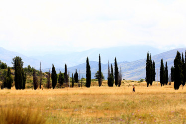 Similar image 10514034