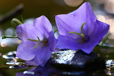 Similar image 10514086