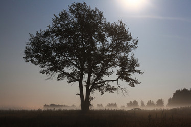 Similar image 10514092