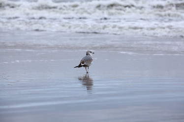 Similar image 10514094