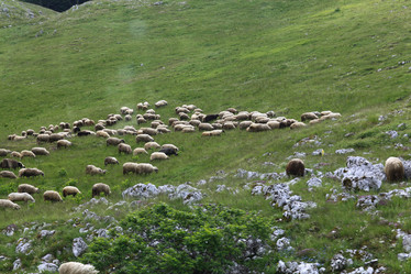 Similar image 10514124