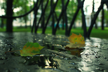 Similar image 10514127