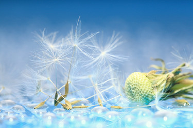 Similar image 10514130