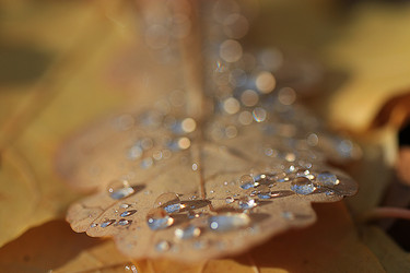 Similar image 10514137