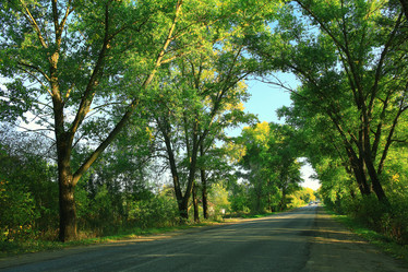 Similar image 10514140