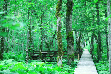 Similar image 10514143