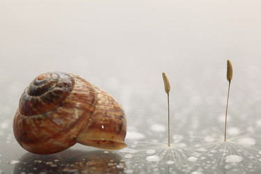 Similar image 10514146