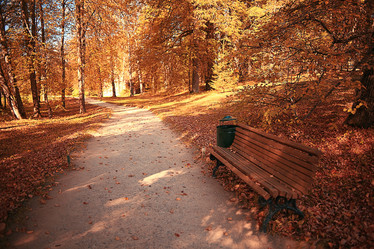 Similar image 10514209