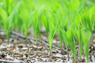 Similar image 10514213