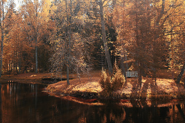 Similar image 10514216