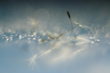 Similar image 10514237