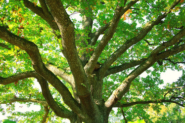 Similar image 10514238