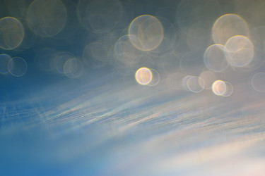 Similar image 10514239