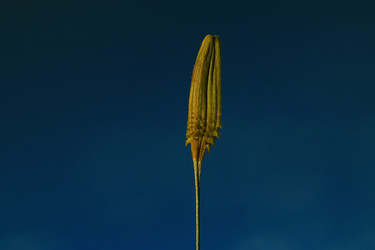 Similar image 10514243