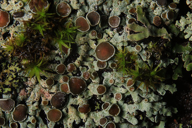 Similar image 10514254