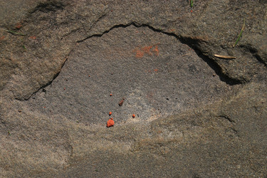 Similar image 10514259