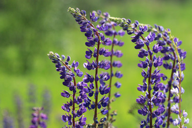 Similar image 10514279