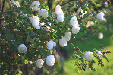 Similar image 10514281