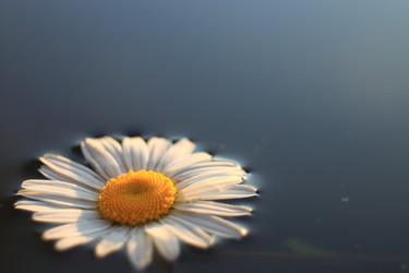 Similar image 10514282