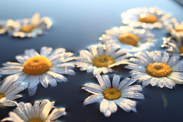 Similar image 10514283