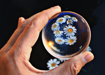 Similar image 10514284