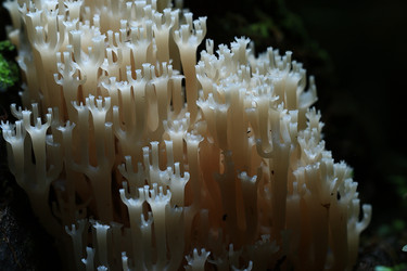 Similar image 10514285