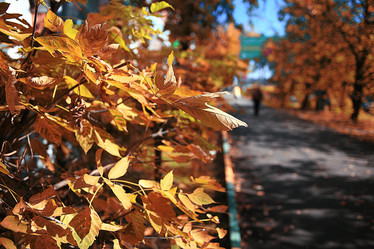 Similar image 10514318