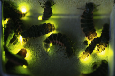 Similar image 10514319